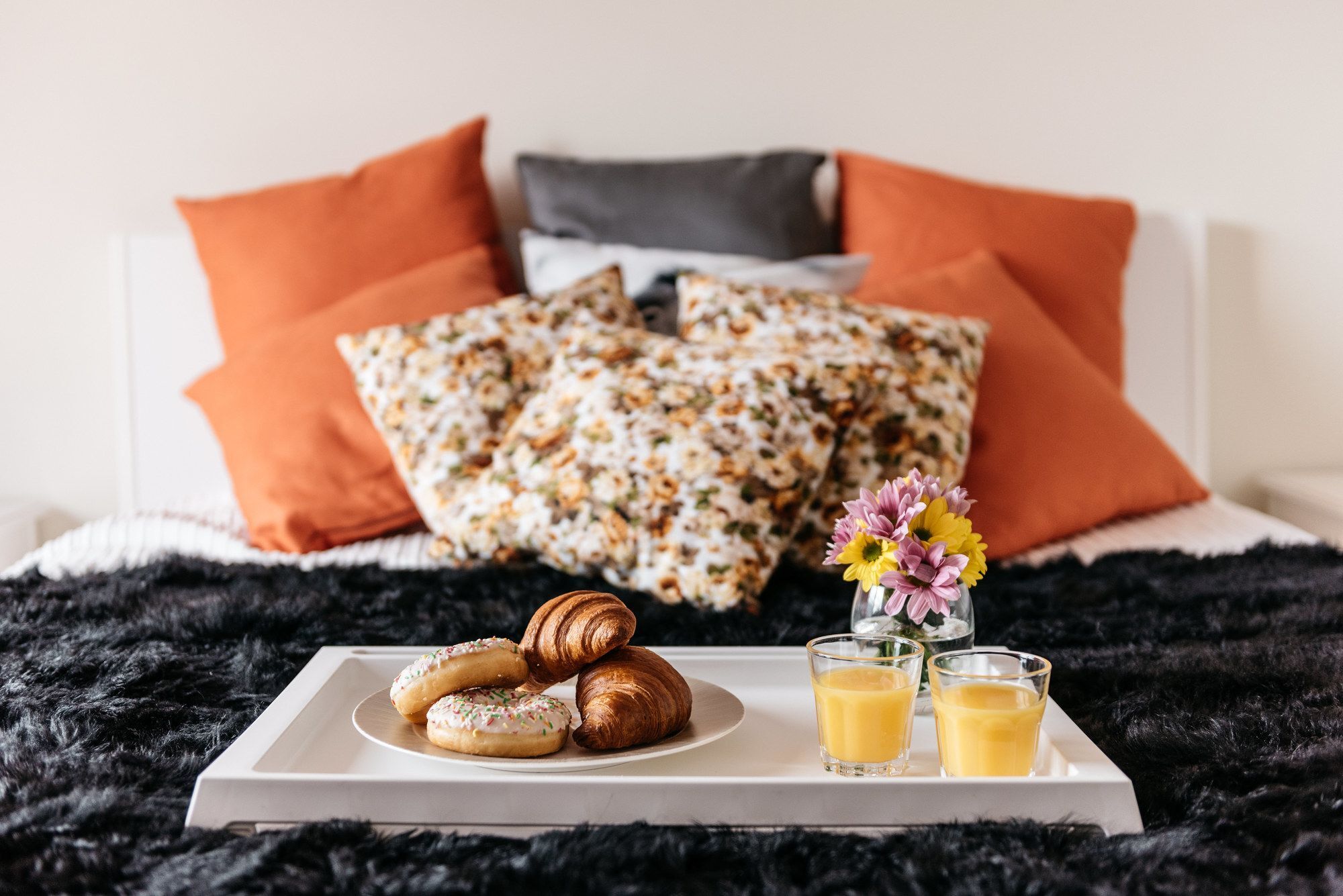 Rakowicka 20B Apartment Novum Kraków Eksteriør billede